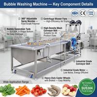 Machine de nettoyage à bulles d'air certifiée CE pour légumes, tomates, carottes, fruits, ananas