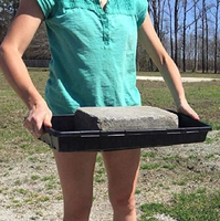 Serre 20 x 10 pouces, plateaux de semis parfaits pour les plantes, plateaux de semis en polystyrène pour pépinière, plateau de semis hydroponique