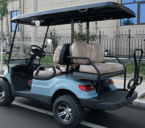 도매 미니 2 + 2 좌석 전기 골프 카트 맞춤형 골프 버기 - Product Image 5