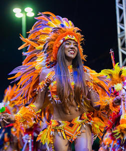 12-14인치 고품질 친환경 염색된 수탉 깃털 천연 아조 프리 인증 패션 카니발 장식 - Product Image 4