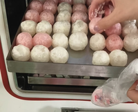 IOT en ligne télécommande lyophilisateur coton gommeux quilles bonbons bonbons lyophilisateur SJ-06H lyophilisateur équipement de séchage