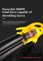Souffleur d'air électrique pour feuilles, souffleur de feuilles de jardin haute puissance, séche-cheveux double fonction soufflage et aspiration