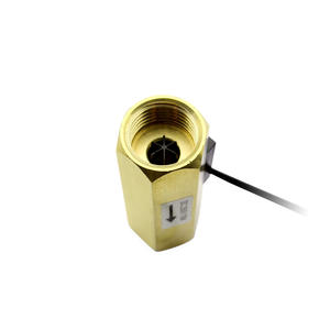 Interruptor de Flujo de Agua Magnético con Principio de Interruptor de Lengüeta Saishenger, Componentes Electrónicos para Tratamiento de Agua y Calentadores de Agua - Product Image 3