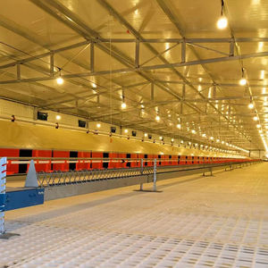 Máquina de fabricación de piensos para aves de corral, equipo de cría de pollos, Gallinero - Product Image 6