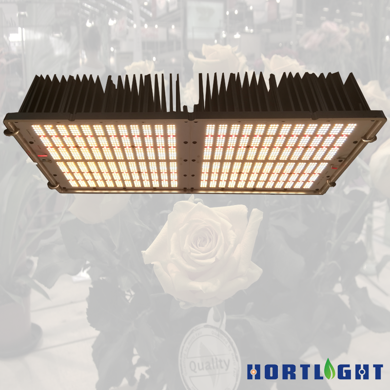Hortlight 650W Full Spectrum LED Grow Light Customizable Indoor Bloom Lamp Aluminum Body CCT IP65 Red Blue White Emission