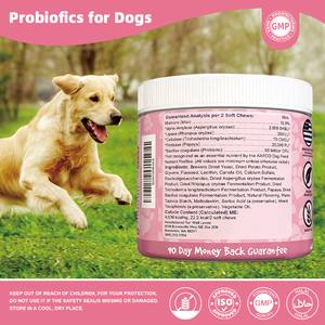 Probiotiques Flora Shield pour chiens OEM ODM à puissance maximale, avec enzymes digestives et prébiotiques, 120 comprimés à mâcher pour une <span class=keywords><strong>flore</strong></span> <span class=keywords><strong>intestinale</strong></span> saine - Product Image 3