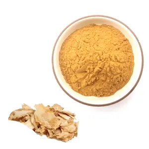 FST Biotec High quality Radix Angelica Sinensis root extract Dong Quai Extract