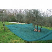Filet de récolte d'olives en HDPE durable, exporté vers la Tunisie