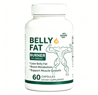 Cápsulas Quemagrasas Abdominales OEM/ODM de Fábrica China a Precio Mayorista con Acetil L-Carnitina y Extracto de Té Verde para Grasa Abdominal