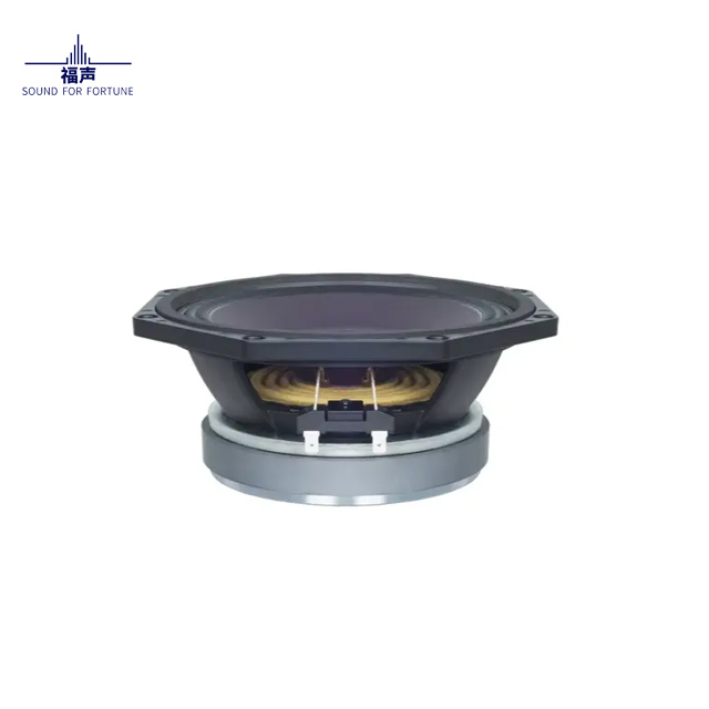 speakers ds 21155 n1
