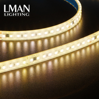 Bande LED extérieure SMD2835 120 LED/m, indice de protection IP67, 2700K-10000K, télécommande, intensité variable, CRI>83, 105LM/W
