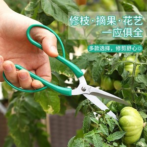 Garden <b>Shears</b> Stainless Steel 200mm Bypass Pruner For Flower Tree Fruit Trimming Green <b>Handle</b> - Product Image 1