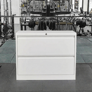 <b>2</b> <b>Drawer</b> Lateral File Storage <b>Cabinet</b> Lockable Metal Industrial Modular Gym <b>Filing</b> <b>Cabinet</b> Hanging File Rail Freestanding - Product Image 3