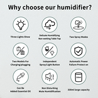 Humidificateur nano intelligent, grande brume, rechargeable, minuterie, sans fil, pulvérisation automatique, portable, petit,