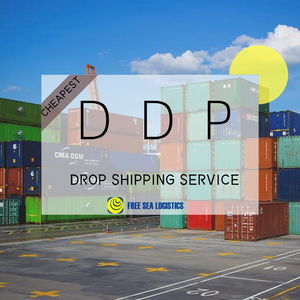 Agente de Frete Aéreo DDP, Transporte Marítimo Profissional de Logística Porta a Porta da China para EUA, UE e UAE - Product Image 4