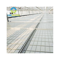 Table de culture hydroponique à ébb et flow sur roulettes pour pépinière commerciale de serres, idéale pour la culture verticale de légumes