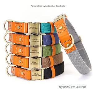 ปลอกคอสุนัขแบบสลักชื่อส่วนตัว ทำจากไนลอนและหนังวัวอย่างดี ทนทาน พร้อมหัวเข็มขัดสลักชื่อ สายจูงสุนัขแบบเข้าชุด ยาว 5 ฟุต พร้อมเส้นใย - Product Image 1