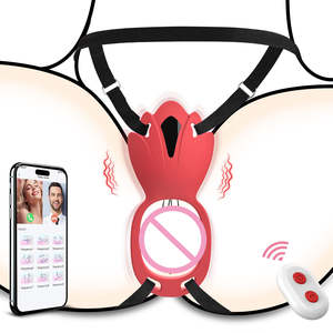 Juguetes Sexuales para Adultos, Vibrador de Braguitas Usable, Juguete Sexual Femenino con 9 Modos de Vibración, Anillo Vibrador para Pene, Estimulador de Clítoris, para Parejas - Product Image 2