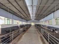 Polvo de Zeolita Natural Pura para la Conservación de Frutas y Verduras, Adsorbente de Etileno de Clinoptilolita, Exportación al por Mayor