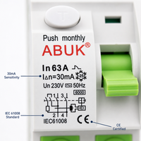 Disjoncteur différentiel électromagnétique RCCB 2P 4P 16A-63A 30mA 100mA 300mA Type AC RCD 6kA 10kA Rail DIN IEC61008 CE