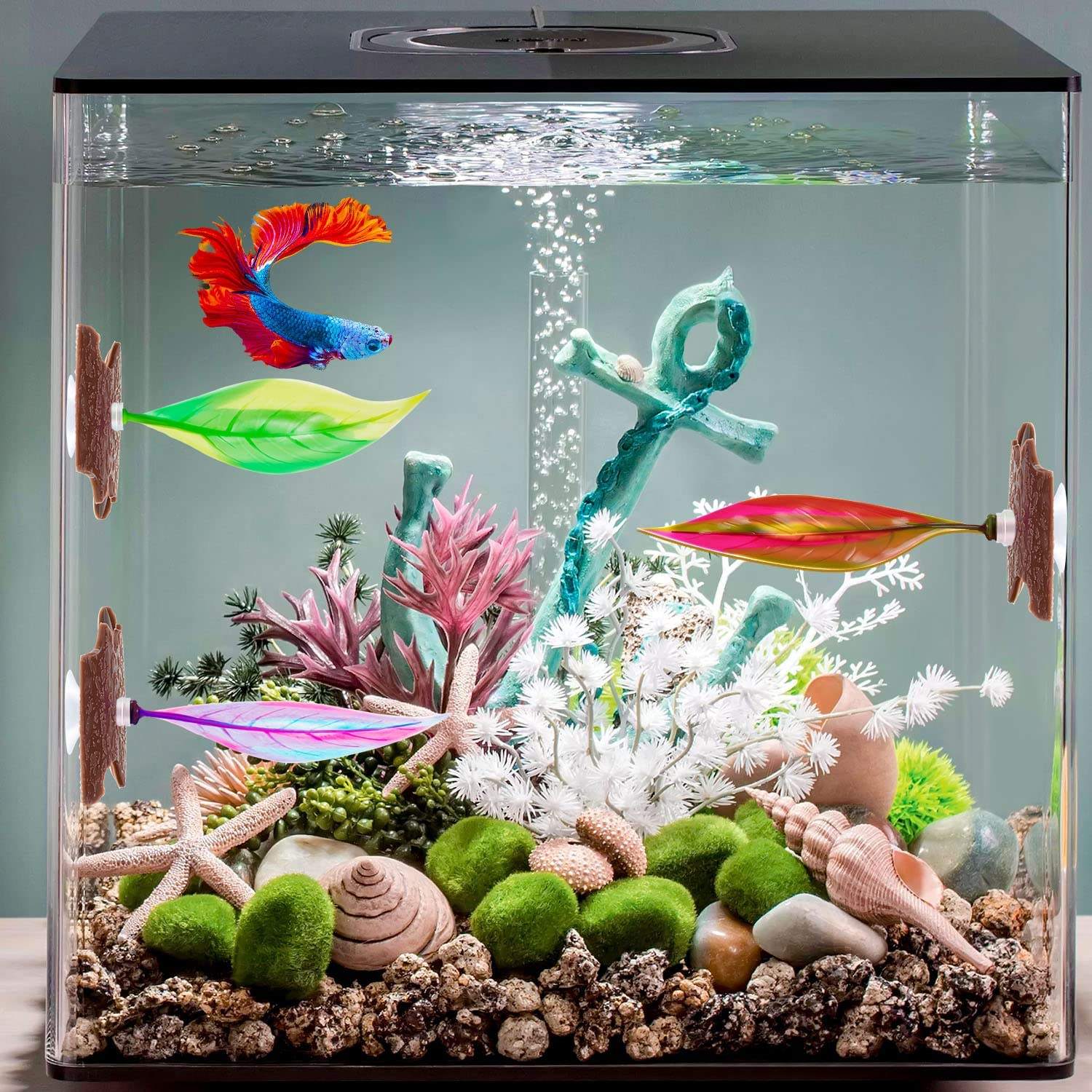Aquarium Decorations Buy Aquarium Supplies Anchor Aquarium