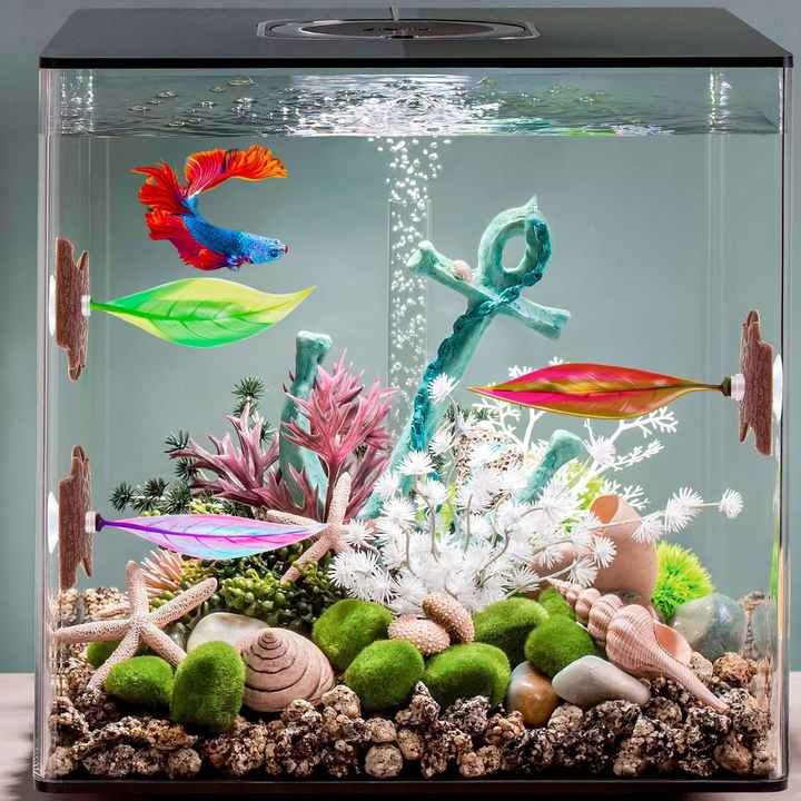 Betta Fish Tank Decor Ideas Fish Tunnel Betta Fish Tank Decor Set