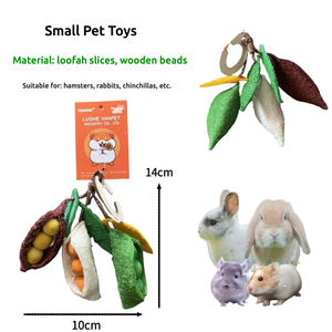 Jouets à mâcher de dentition en bois massif naturel en gros d'usine pour Hamster - Product Image 5