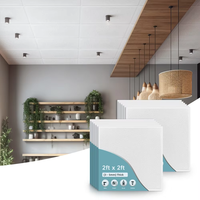 Panneaux de plafond et de mur en PVC perforé ignifuge décoratifs pour l'intérieur des maisons mobiles et des camping-cars avec grille de plafond