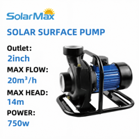 Pompe à eau solaire de surface SOLAR MAX 48V 750W avec moteur DC sans balais et contrôleur intégré, basse pression pour l'irrigation agricole