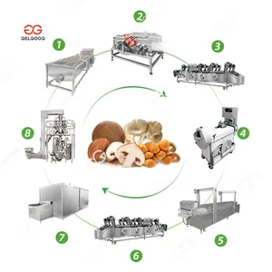 Commercial Industrial Machine Spiral IQF Freezing Equipment Fruit Frozen Vegetable Mushroom Blast Freezer For Fruits