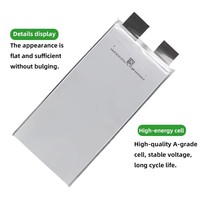 Batterie au lithium polymère, batterie Lipo 66ah 90ah 120ah, batterie Li-ion 3.7v, batterie au lithium solide en pochette