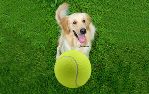 Yap&MeowPet Cotton Mixed Color Eco-Friendly Tennis <b>Ball</b> <b>Dog</b> Chew Toy 6cm for Active Pets - Product Image 4