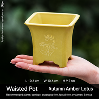 Pot de fleurs en résine pour jardin, style chinois minimaliste, avec plusieurs trous de drainage, pour orchidée de la baie rouge à feuilles fines