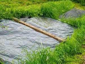 Toile <span class=keywords><strong>de</strong></span> paillage, géotextile agricole en plastique tissé, toile anti-mauvaises herbes en PP noir, fourniture directe usine - Product Image 5