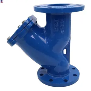 Ductile Iron Flange type ss304 net Y filter BS standard Y-strainer