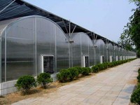 FUMA FM-MFMS Commerciële Multi-span Venlo-type kas met polycarbonaat platen voor hydroponie