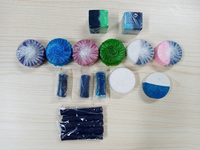 Tablettes solides bleues automatiques de décontamination écologiques jetables de haute qualité, directement de l'usine, pour cuvettes de toilettes, durée 14 jours