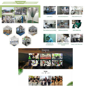 โรงงานซัพพลาย Camus 100% ที่มีคุณภาพสูง <span class=keywords><strong>Camu</strong></span> <span class=keywords><strong>Camu</strong></span> ผง - Product Image 4