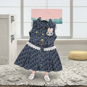 Nuovo Stile Estivo 2025 per Ragazze - Vestito in Denim per Bambine con Bordo in Pizzo, Abito Estivo per Bambine - Product Image 2