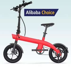CE Certified Adult Bike 250W Removable Lithium Battery Foldable City 3 Speed Digital Technology H1 Bike H1 - Product Image 1