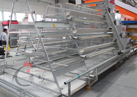Nouvelle cage automatique de type A pour poules pondeuses, galvanisée à chaud, durée de vie de 15 à 20 ans, pour l'élevage avicole