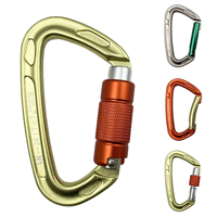 Mousqueton de sécurité professionnel en aluminium en forme de D, 24 kN, pour l'escalade, la montagne, équipement de sécurité robuste, karabiner