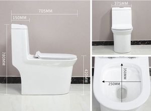 <span class=keywords><strong>WC</strong></span> moderne monobloc allongé en céramique <span class=keywords><strong>à</strong></span> double chasse avec siphon S, économique, fabriqué en Chine - Product Image 2