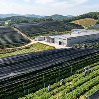 Shandong Origin Heavy Duty HDPE Vouwbare Verdikkende Ecologische Zonwering voor Landbouw, Tuinbouw en Horticultuur