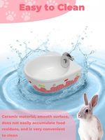 Bol d'alimentation suspendu en céramique, anti-déversement, pour chinchilla, cochon d'Inde, lapin, hamster syrien, furet, gerbille