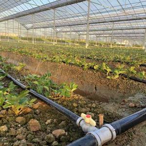 Chất lượng cao 32 Mét PE ống nhựa cho mưa tưới tiêu cho nông nghiệp trang trại tưới nhỏ giọt hệ thống và mưa phun Băng - Product Image 3