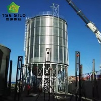 Silo à grains galvanisé avec fond conique pour un déchargement rapide et complet des matériaux