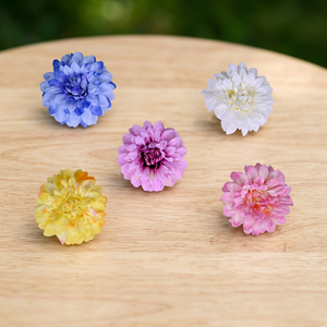 Flores Secas Sueltas de Diferentes Tipos, Hechas a Mano, con Tacto Natural y Ecológicas AFF-Loose-Flower-165 - Product Image 2