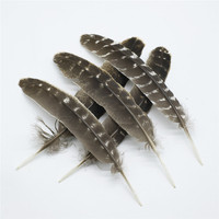 Plumes de queue de dinde naturelles en gros pour carnaval, artisanat DIY, chapeaux, bibelots, attrape-rêves, jouets pour chats, coiffes