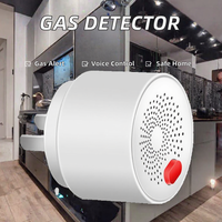 Surveillance intelligente du gaz électrique, détection en temps réel, commande vocale, protégez votre maison, compatible Tuya Zigbee, Alexa Google Hotel